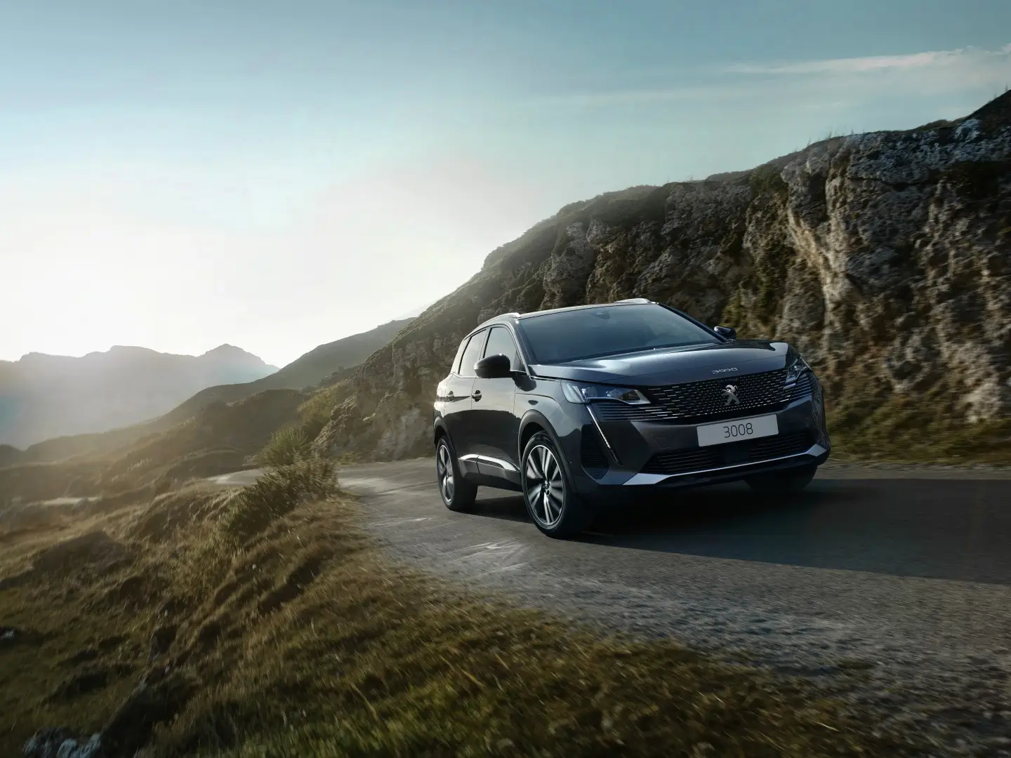 PEUGEOT_3008_2020_022 (Large)